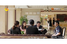 河池河池的要账公司在催收过程中的策略和技巧有哪些？